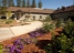 hospice11