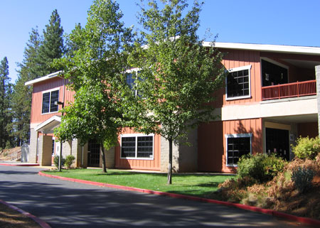 scollege12